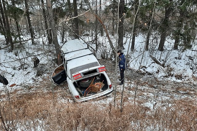 На свердловской трассе мужчина на «Волге» влетел в дерево. Его пассажирка погибла