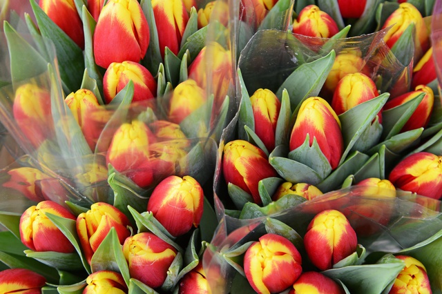 Мужчины недооценивают тюльпаны и мимозу