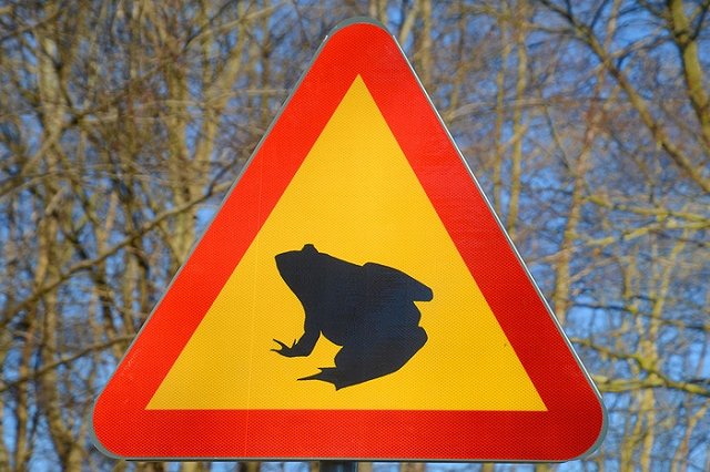 На трассе Пермь-Екатеринбург водитель фуры решил снять очки во время обгона