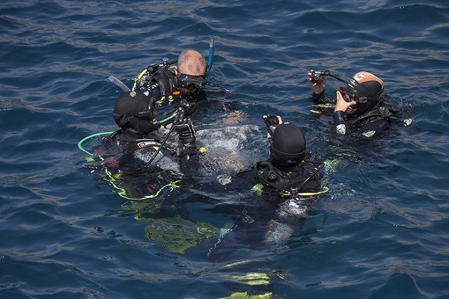 СМИ узнали о создании отряда боевых пловцов для охраны Крымского моста