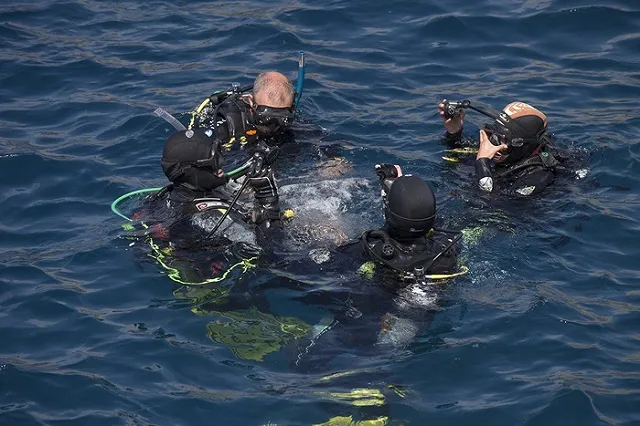 СМИ узнали о создании отряда боевых пловцов для охраны Крымского моста