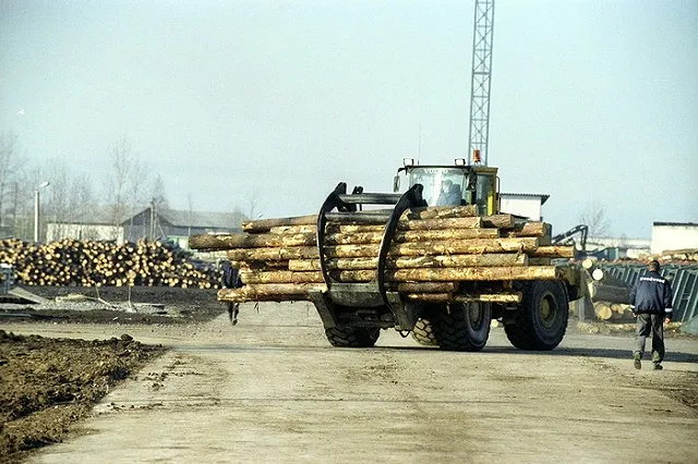 Деревоперерабатывающий завод построят корейцы в Краснотурьинске