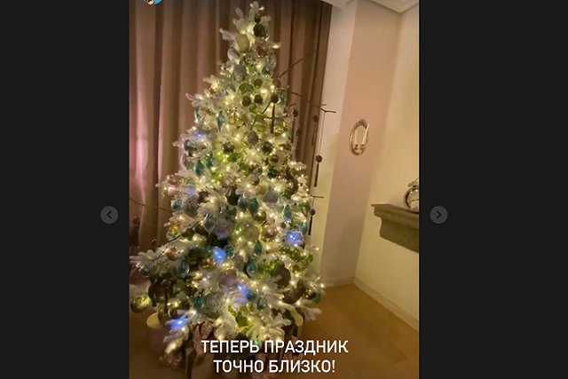 Собчак украсила дом елкой с торчащими ветками