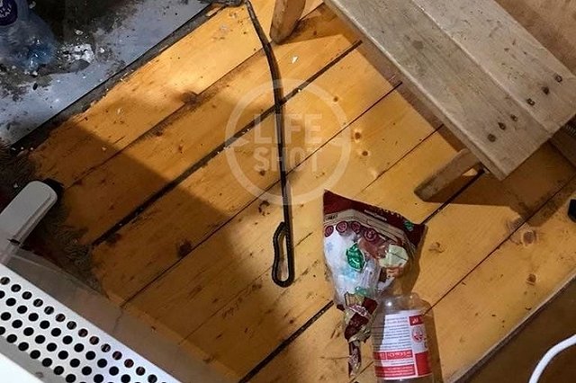 Бьёт за четвёрки: 10-летняя школьница пожаловалась на опекуншу