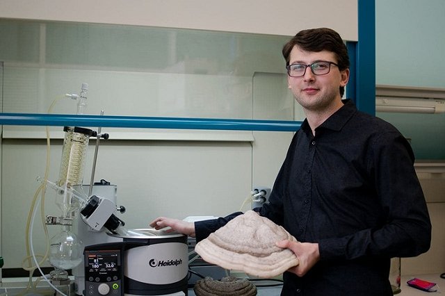 Биологи УрФУ нашли грибы, уничтожающие раковые клетки