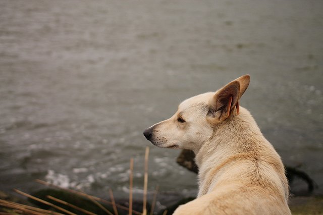 В Свердловской области похолодает до -1