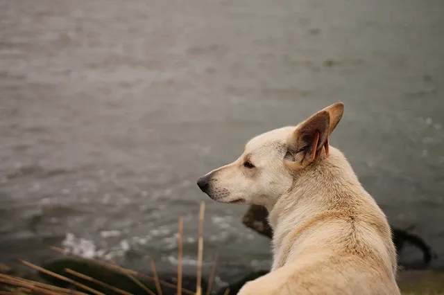 В Свердловской области похолодает до -1