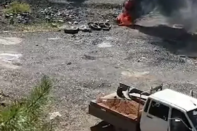 Под Екатеринбургом прямо на покрышках сжигают туши диких животных