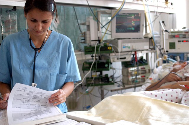 В Екатеринбурге несколько человек находятся при смерти после укуса клеща