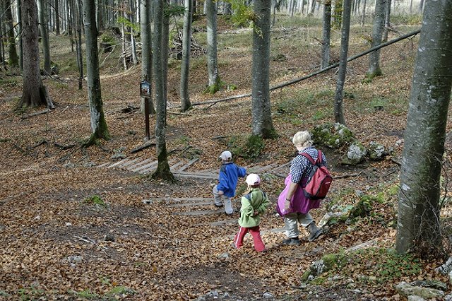 В Свердловской области клещи уже покусали почти 360 человек