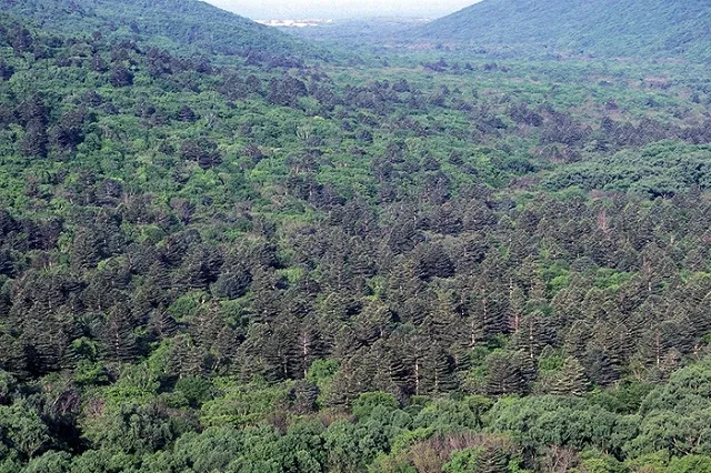 Трутнев: перепродать дальневосточный гектар китайцам не получится