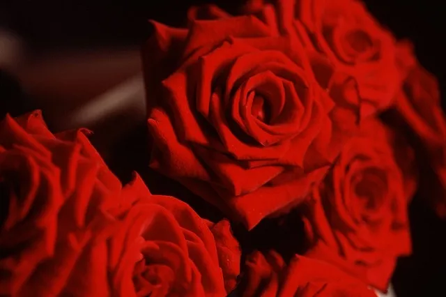 В сети поглумились над берущими в прокат гигантские букеты для селфи девушками