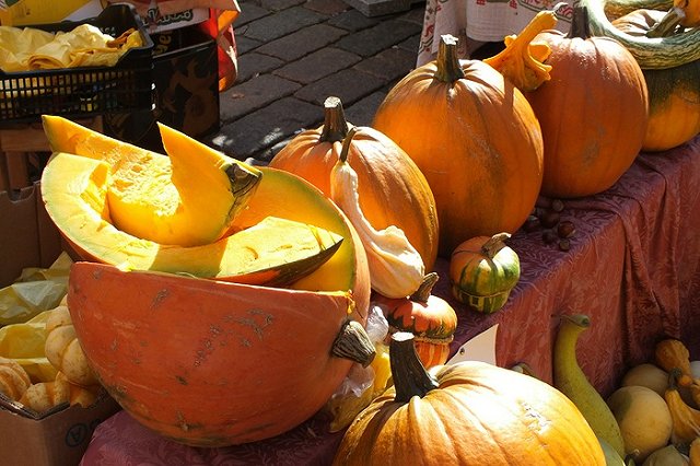 В День народного единства в Екатеринбурге пройдет сельскохозяйственная ярмарка