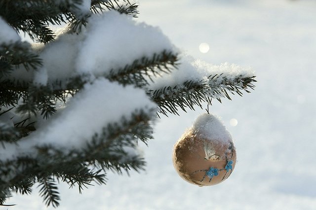 Муниципальные службы Екатеринбурга рассказали о режиме работы в праздники