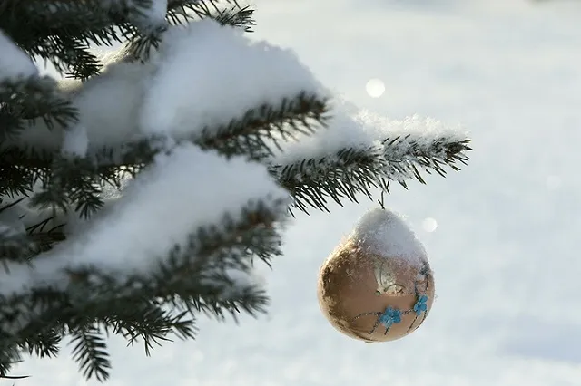 Муниципальные службы Екатеринбурга рассказали о режиме работы в праздники