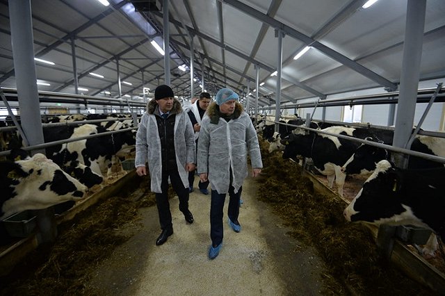 Газопровод, школьный стадион и животноводческий комплекс открыли под Алапаевском