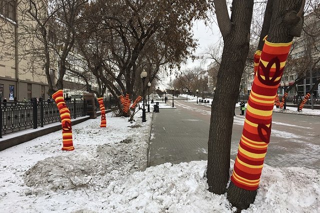 Деревья в центре Екатеринбурга одели в гетры