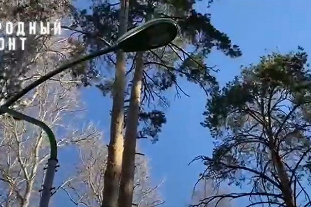 В Зелёной Роще неизвестные разбили уличные фонари