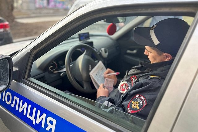 Екатеринбуржец на иномарке врезался в дерево, сбив пешехода и собаку