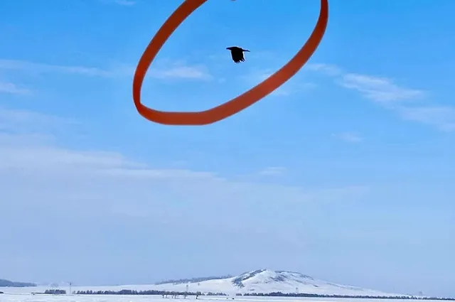 Ворона обокрала уральских рыбаков