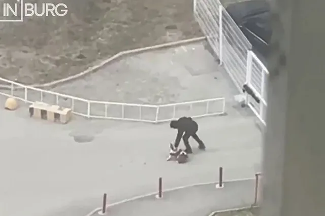 Екатеринбуржец избил собаку во дворе