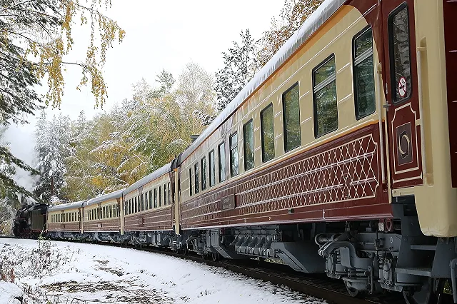 Свердловчанам предложили путешествие на один день на необычном поезде
