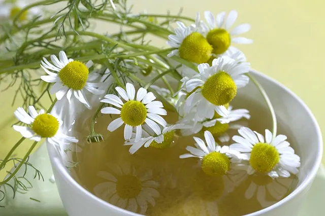 Уральский пенсионер заработал миллион на продаже травяного чая