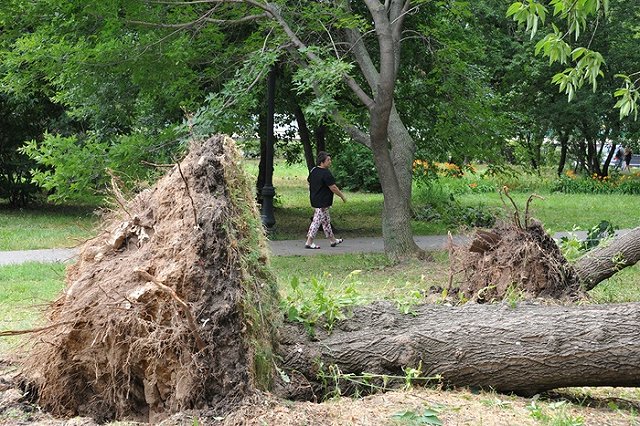 Мэрия столицы советует москвичам укрыться за закрытыми дверями и окнами
