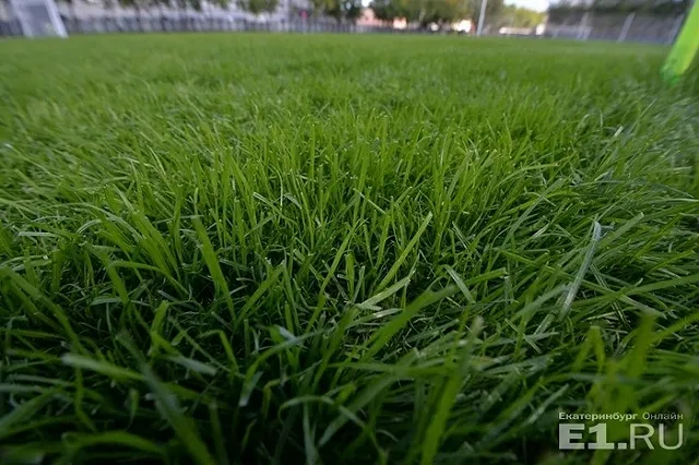 В Екатеринбурге открыли новое футбольное поле к ЧМ-2018