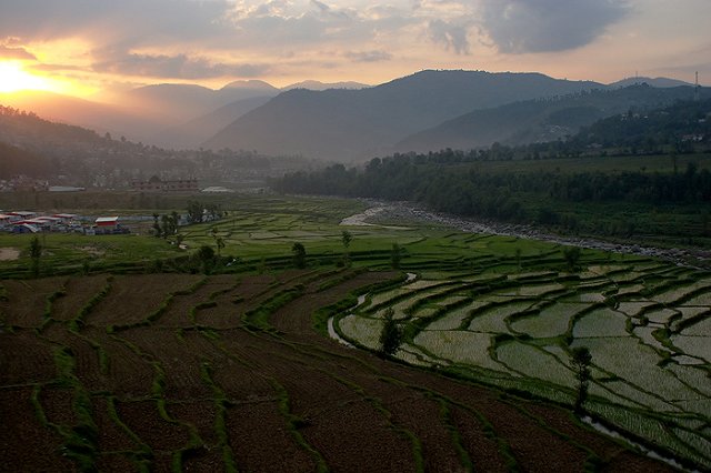 В Пакистане молодоженов зарезали за брак без благословения