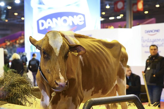 УФАС уличила Danone и свердловскую торговую компанию в сговоре