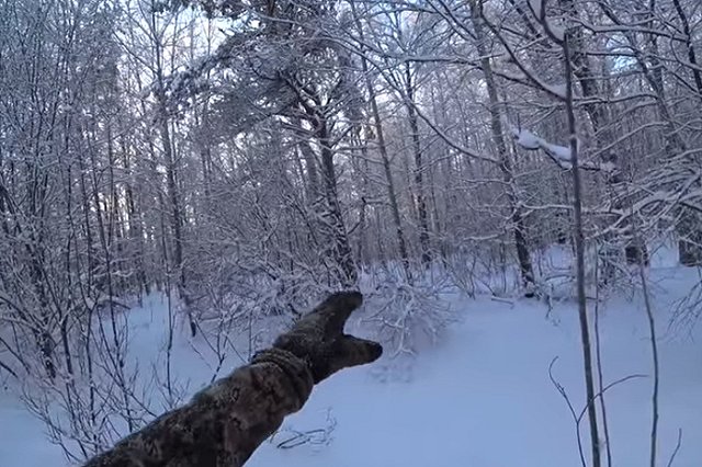 Свердловчанин на охоте застрелил друга, перепутав с лосем