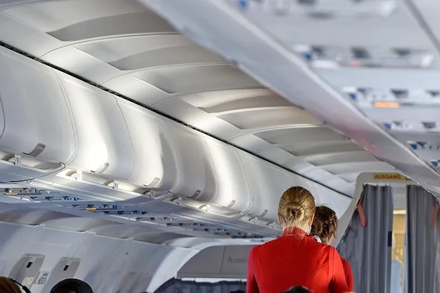 Екатеринбурженки устроили имитацию оргии на борту самолёта