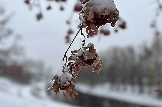 Синоптики рассказали, какая погода ждёт Екатеринбург в декабре