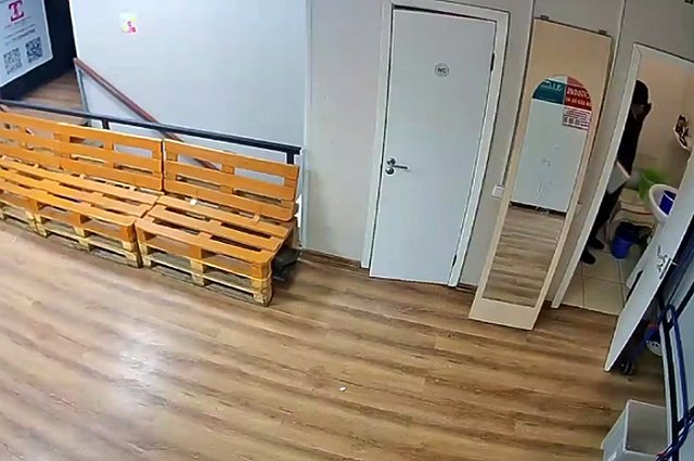 Неизвестный украл сиденье от унитаза из екатеринбургского бизнес-центра
