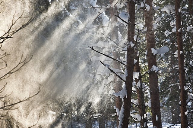 МЧС готовит пункты обогрева для свердловских трасс