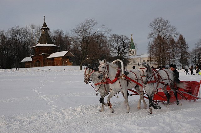 Двое туристов из КНР тяжело травмированы после аварии с повозкой в Коломенском