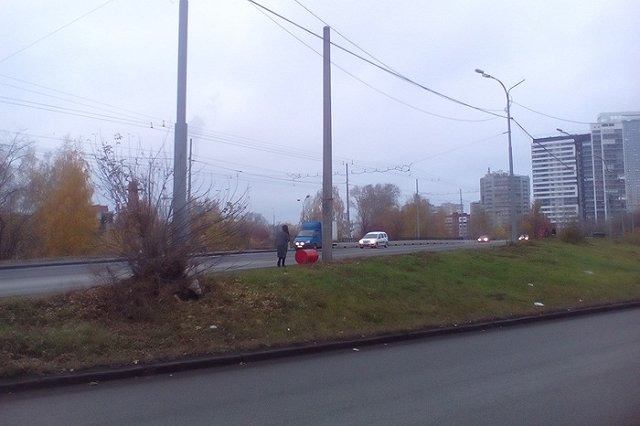 Когда молодец, тогда молодец! ГУДСР вывез мусор со Щербаковского моста