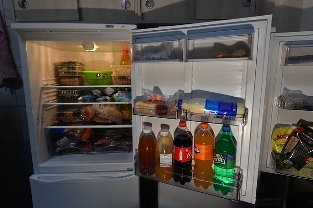 Стала известна цель визита генконсула ФРГ в уральскую колонию