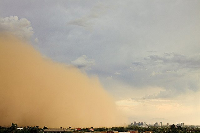 В Саратове выпал оранжевый снег с песком из Сахары