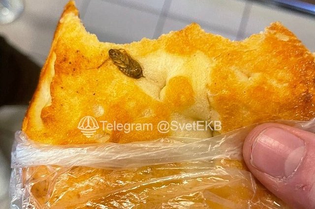В столовой екатеринбургского лицея обнаружили булочки с тараканами