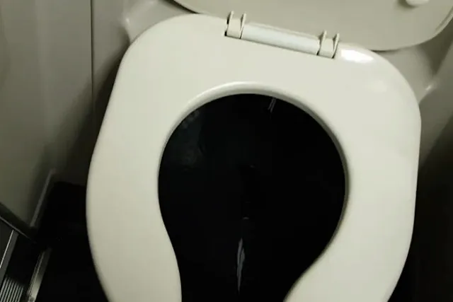 Студент уральского вуза в самолете публично опорожнил мочевой пузырь