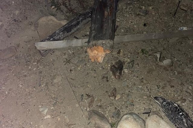 Свердловский электрик погиб из-за падения ЛЭП