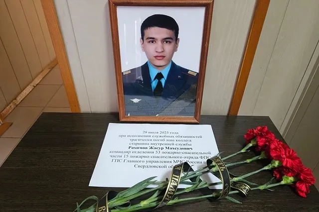 Свердловского пожарного убило током, когда он снимал кошку со столба