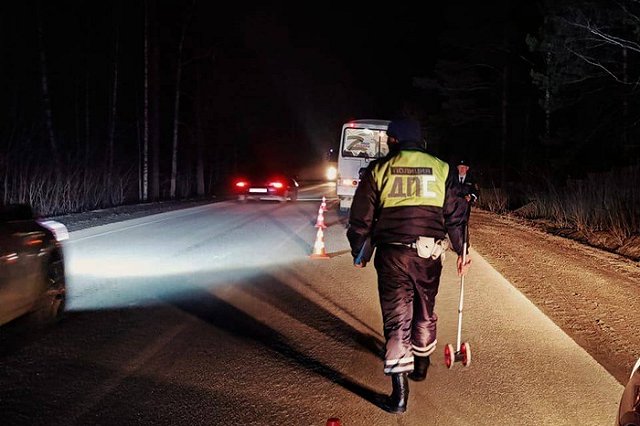 Рейсовый автобус под Ревдой насмерть сбил в темноте пешехода