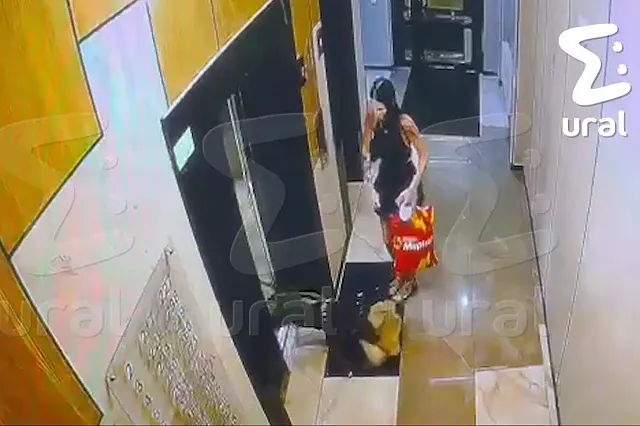 В екатеринбургском ЖК питбуль набросился на шпица
