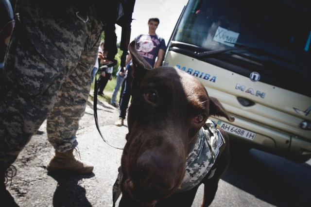 СМИ: Киев готовится отправить беженцев на фронт
