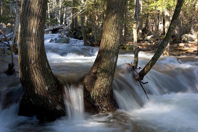 Паводок на Урале. Эвакуируют сотни людей