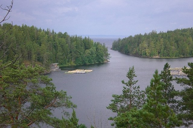 МЧС начало поиски пропавшего на Сямозере школьника в лесу