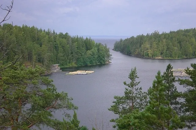 МЧС начало поиски пропавшего на Сямозере школьника в лесу